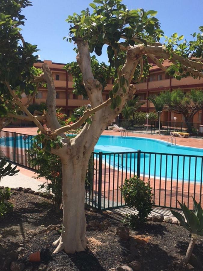 Casa Lilly Διαμέρισμα Parque Holandes Εξωτερικό φωτογραφία